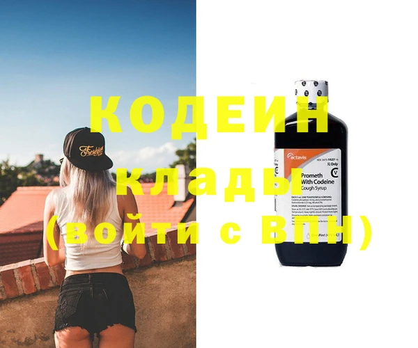 индика Беломорск