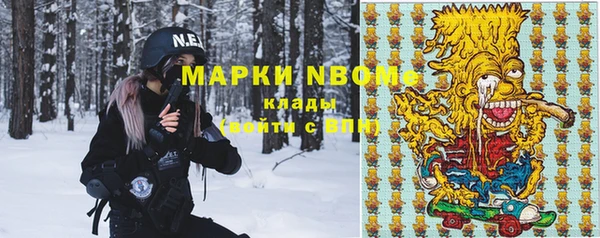 индика Беломорск