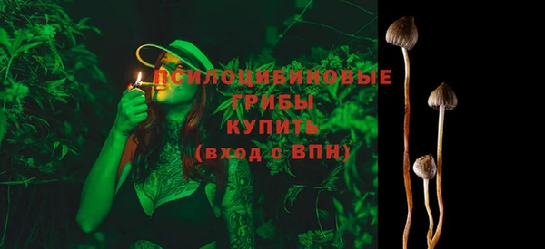 индика Беломорск