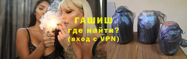 индика Беломорск