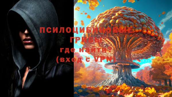 индика Беломорск