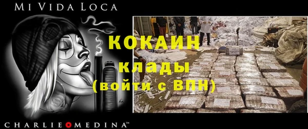 индика Беломорск