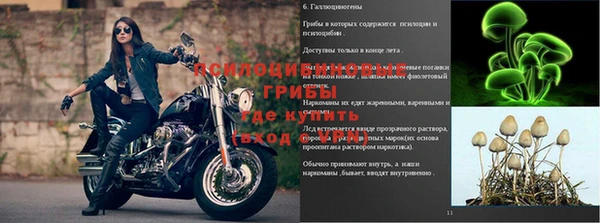 амф Белокуриха
