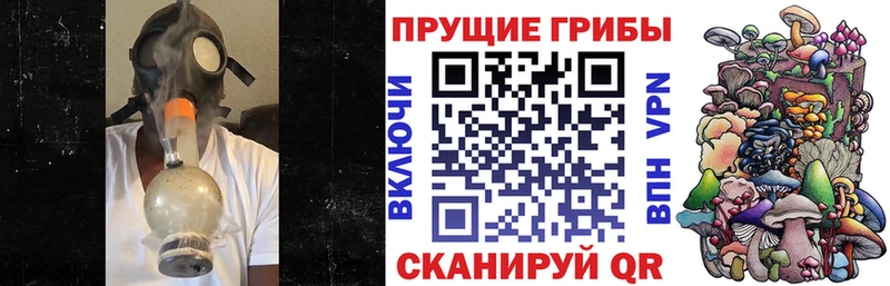 как найти закладки Онега мега маркетплейс Галлюциногенные грибы мицелий